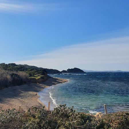 Appartement T2 - Hyeres Gare Zewnętrze zdjęcie
